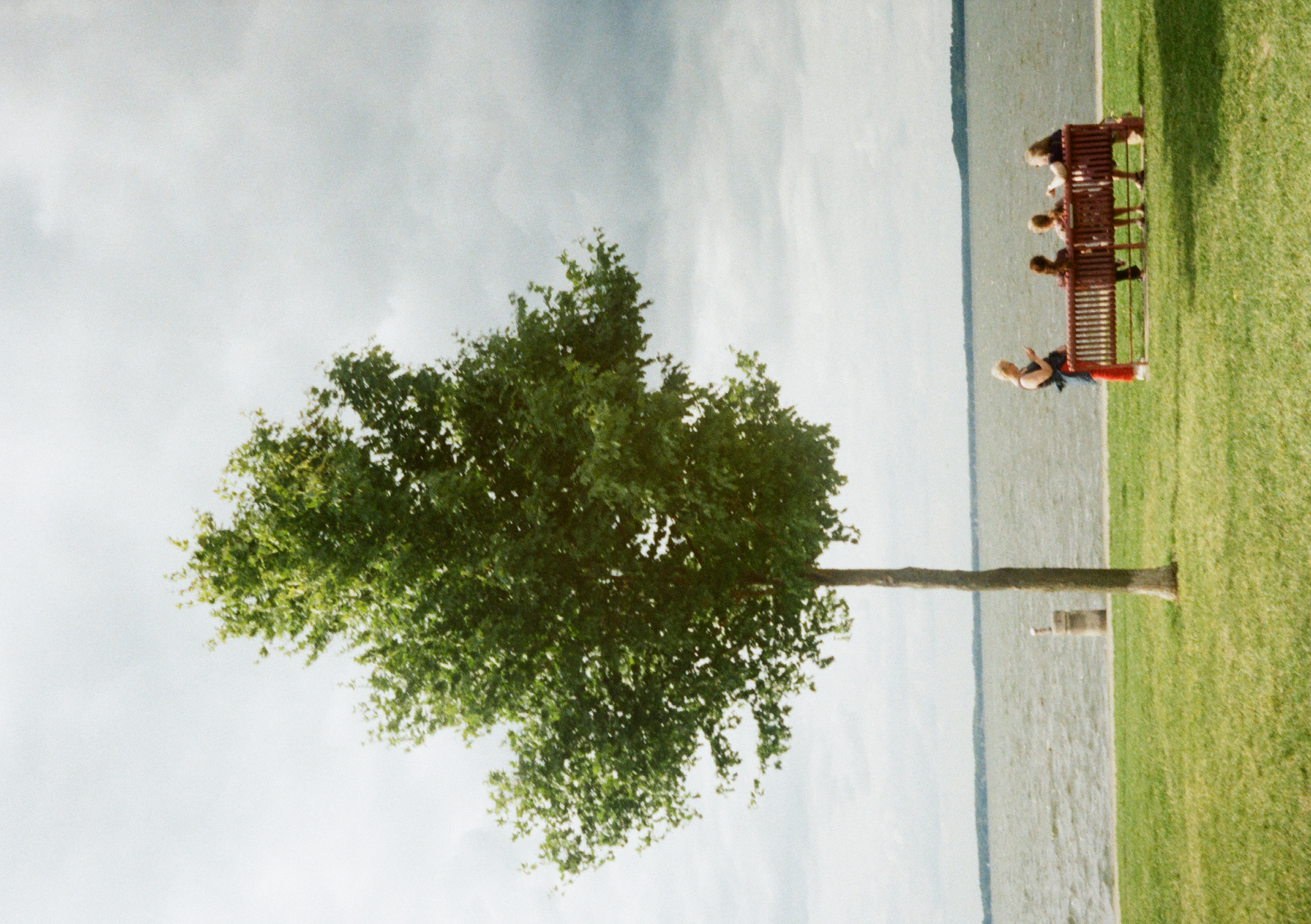 A peaceful lake view