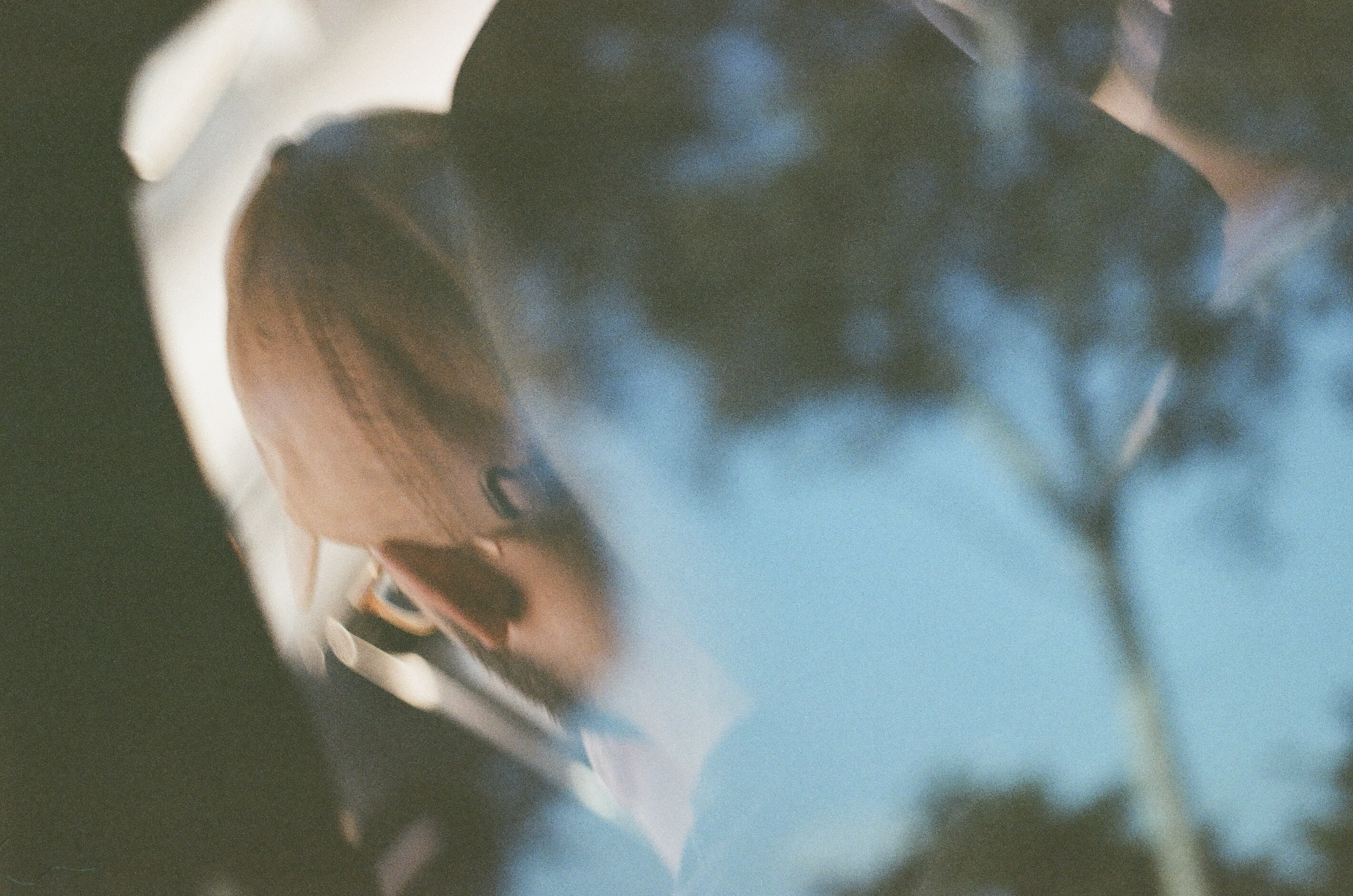 reflections